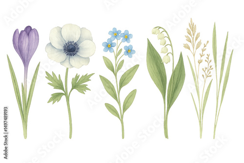 Wallpaper Mural A Bouquet of Botanical Wonders: A delightful assortment of hand-painted botanical elements in gentle pastel hues. The intricate detail and watercolor style create a visual symphony.  Torontodigital.ca