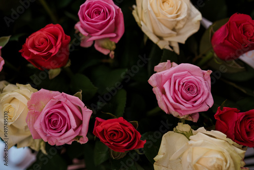 A vibrant close-up bouquet of roses featuring red, pink, and cream-colored blooms with lush green leaves, presenting a beautiful arrangement for special occasions