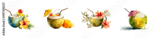 Tropical coconut drinks with flowers and fruits on a white background