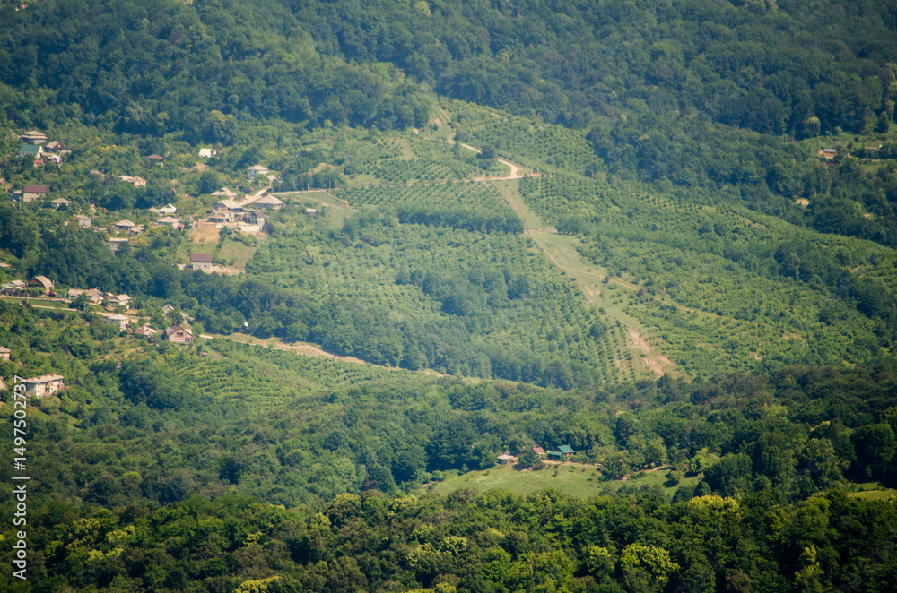Obraz premium Aerial view of green farmland nestled in hilly terrain. Dense forest surrounds cultivated fields under bright daylight. Serene landscape combines natural beauty with human activity