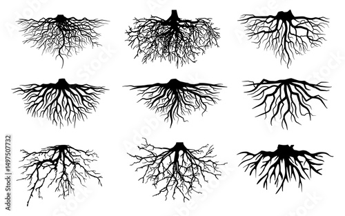 Big collection black roots silhouettes vector Symbol style and white background. Can be used for your work.