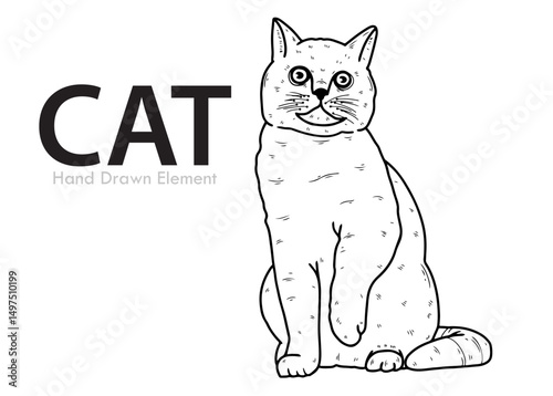 Hand Drawn Sketch vector a cat
