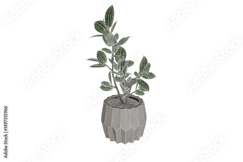 Ficus Potted Plant 3D Model