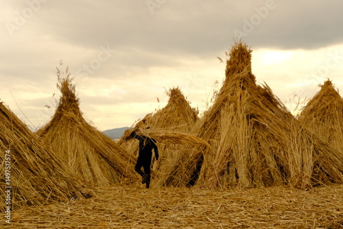 reedcraft, traditionalhandicraft, anatolianartisans, natureandlabor, handmadetraditions, 