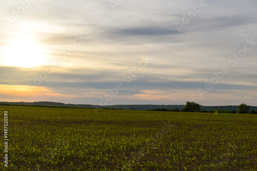 Le soleil se couche sur un champ agricole, avec la lumière douce du soir 