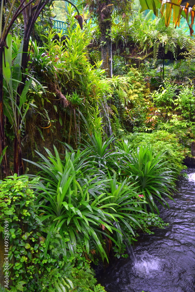 Fototapeta premium Greenery and Exotic Plants in Kuala Lumpur Butterfly Park, Malaysia