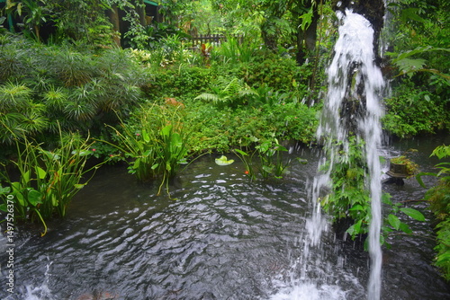 Photography Greenery and Exotic Plants in Kuala Lumpur Butterfly Park, Malaysia