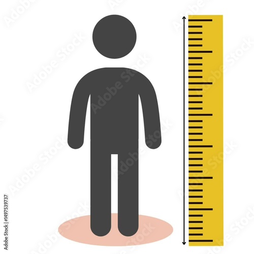 animated video of human height measurement with a measuring scale next to it
