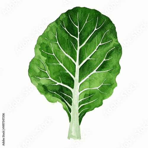 Verdant Leafscapes collard greens isolated watercolor vector illustration svg