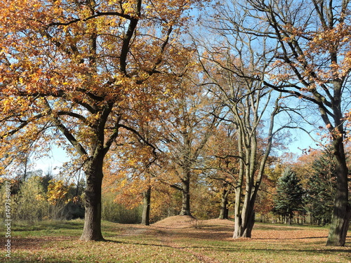 Fototapeta Naklejka Na Ścianę i Meble -  park ,jesien