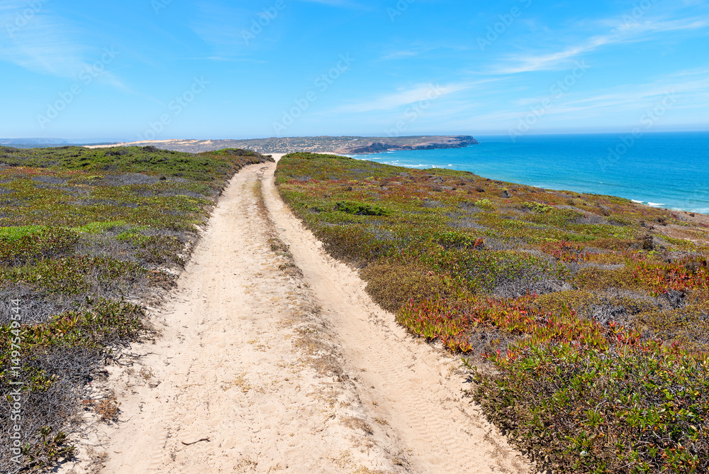 long distance walkway Costa Vicentina, dunes landscape West Algarve, Portugal long distance walkway Costa Vicentina, dunes landscape West Algarve, Portugal