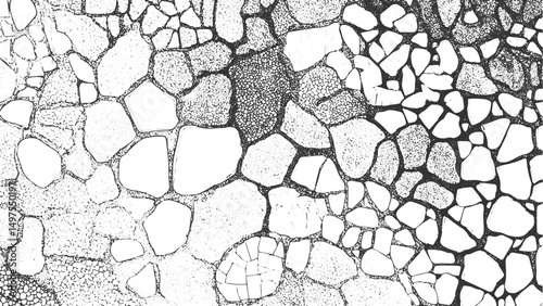 The cracks texture white and black. Vector background. Crackle paint overlay. Vector black and white grunge pattern made from natural oil paint crackle.