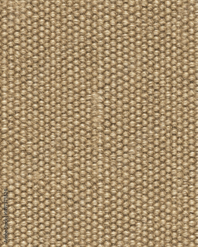 The close-up shot showcases a textured, woven carpet with a warm, neutral color palette, displaying a detailed and intricate pattern of interwoven fibers throughout.