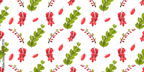 Seamless rectangular pattern with barberry plant. Colorful print pattern with red berries. Cute texture isolated on changeable white back for wrapping paper, fabric. Bunches, leaves of barberry.