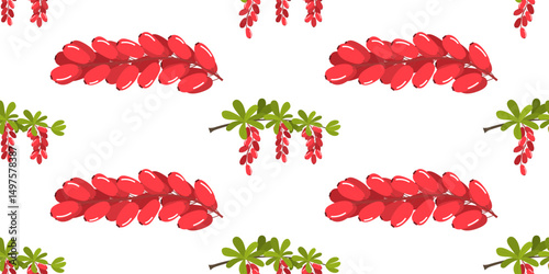Seamless rectangular pattern with barberry plant. Colorful print pattern with red berries. Cute texture isolated on changeable white back for wrapping paper, fabric. Bunches of barberry in flat style.