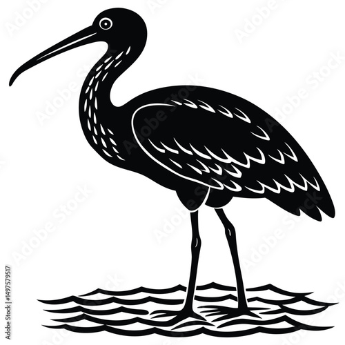 Elegant Black and White Illustration of a Wading Bird in Water