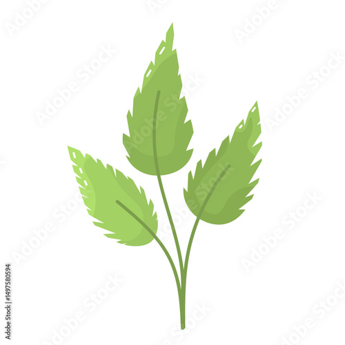 Three decorative bright green leafs in simple flat style. Leaves isolated on white background. Eco-friendly symbol for design and print. Three leaf clip art in vector. Natural sign for packages.