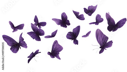 Purple butterflies in flight