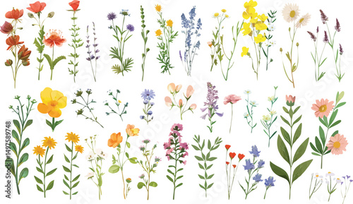 Artistic watercolor floral set with botanical beauty. Romantic details for weddings and events. Suitable for greeting cards and textile applications.