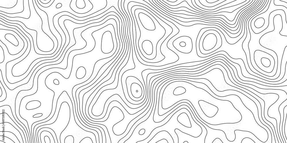 Fototapeta premium abstract topographic map with contour lines terrain in black and white style, illustrating elevation changes and geographical features with precision.