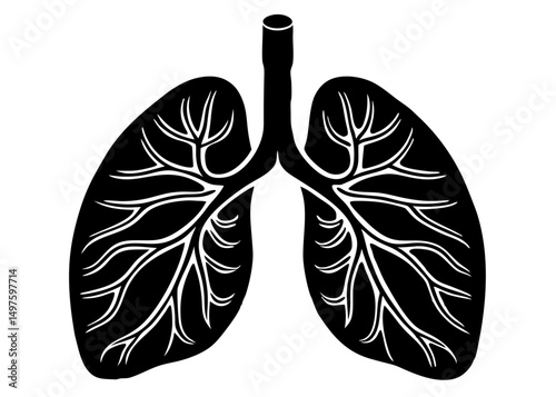 Lungs Human organs hand drawn vector illustration line art. Human lungs