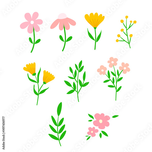 set of flowers vector illustration