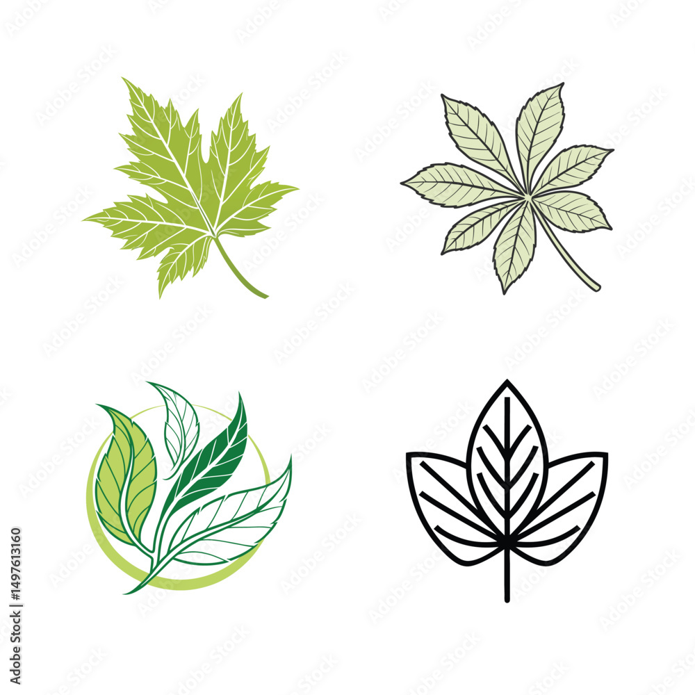 Collection of Leaves design Collection of Leaves design