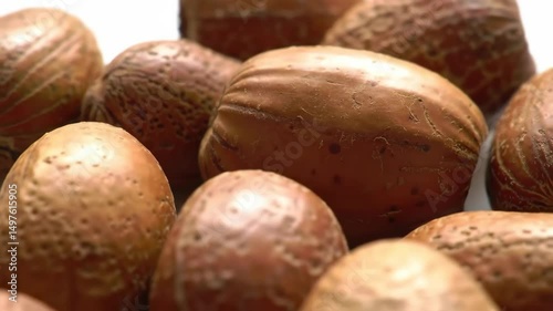 Close Up of Shea Nuts in Natural Light Macro Shot of Raw Ingredients