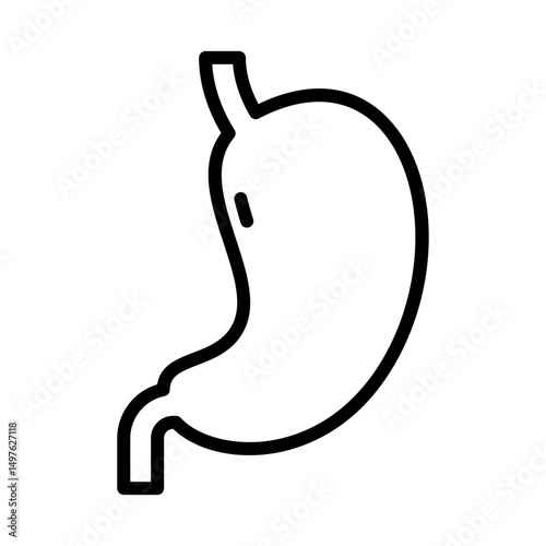 Stomach