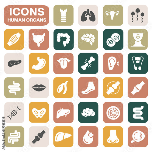 Diverse collection of human organ icons in a variety of shapes and colors, perfect for medical and science design projects
