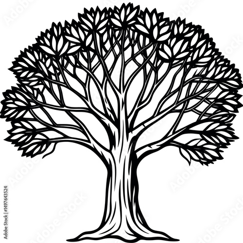 Banyan tree illustration on white background