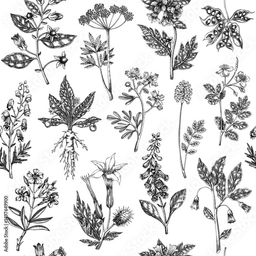 Witch herbs seamless pattern. Bohemian background. Poisonous plants and flowers design. NOT AI generated