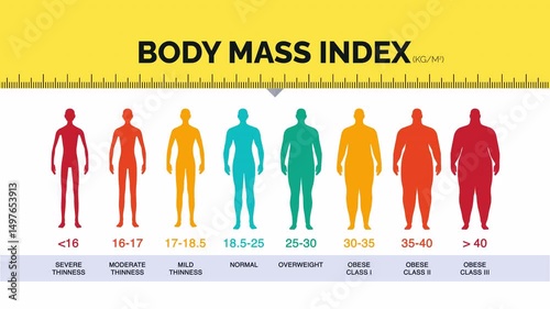 Animated 2D BMI Chart Infographic – Body Mass Index Visualization