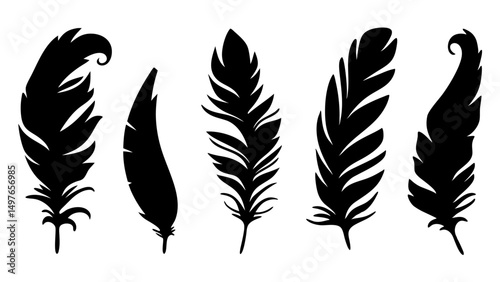 set of feathers silhouette vector on tranparent background