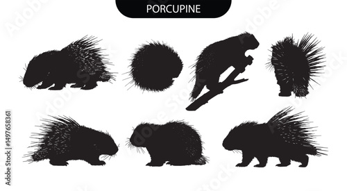 Porcupine Silhouette Vector Set of Spiky Rodent Poses for Wildlife, Nature, and Design Projects photo