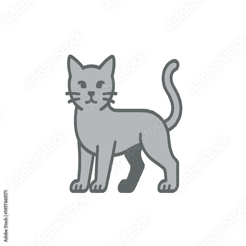 black grey cat on white background