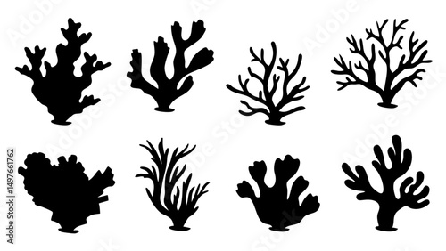Seaweed silhouettes, coral black icon. Abstract organic shape, underwater plant, matisse element, cute sea doodle.