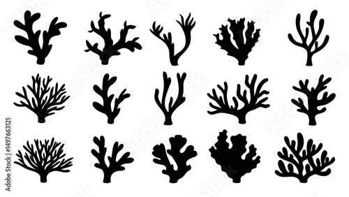Seaweed silhouettes, coral black icon. Abstract organic shape, underwater plant, matisse element, cute sea doodle.