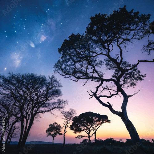 sunset in africa