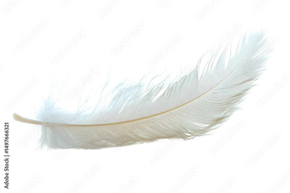 Obraz premium Feather in Delicate Detail: A singular pristine, fluffy white feather is presented in this high-definition capture. Emphasizing its texture and delicate nature.