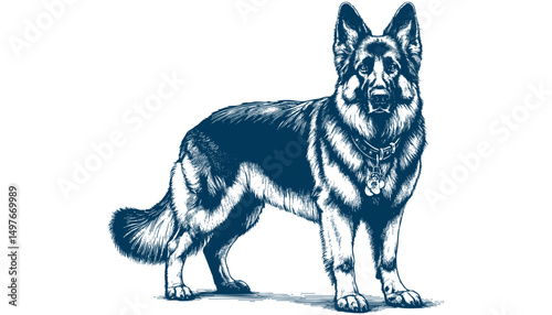 german shepherd vector