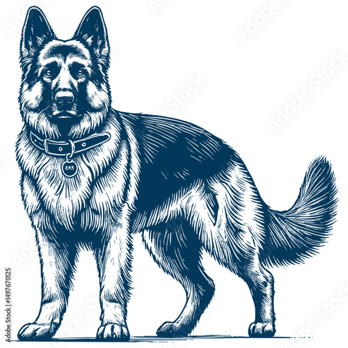 german shepherd vector