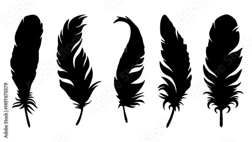 set of feathers silhouette vector on tranparent background