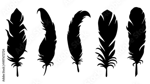set of feathers silhouette vector on tranparent background