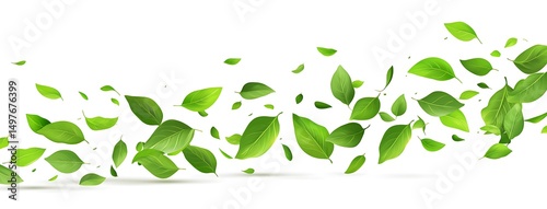 Fresh basil leaves flying in the wind, white background