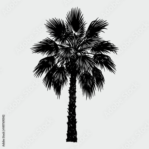 A palm tree is drawn in black and white