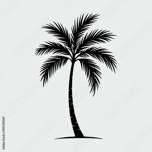 A palm tree is drawn in black and white