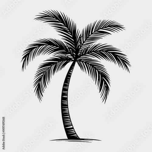 A palm tree is drawn in black and white