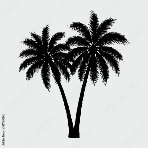 A palm tree is drawn in black and white