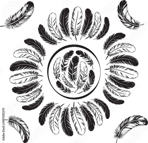 This graphic features a circular arrangement of stylized black and white feathers, radiating outward from a central point.